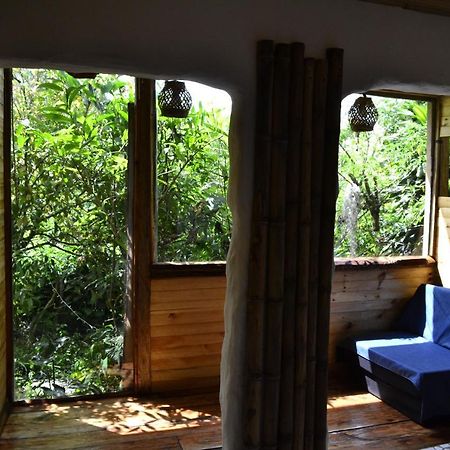 Habitacion Las Bromelias, Pijao, Finca Flora Del Rio Extérieur photo