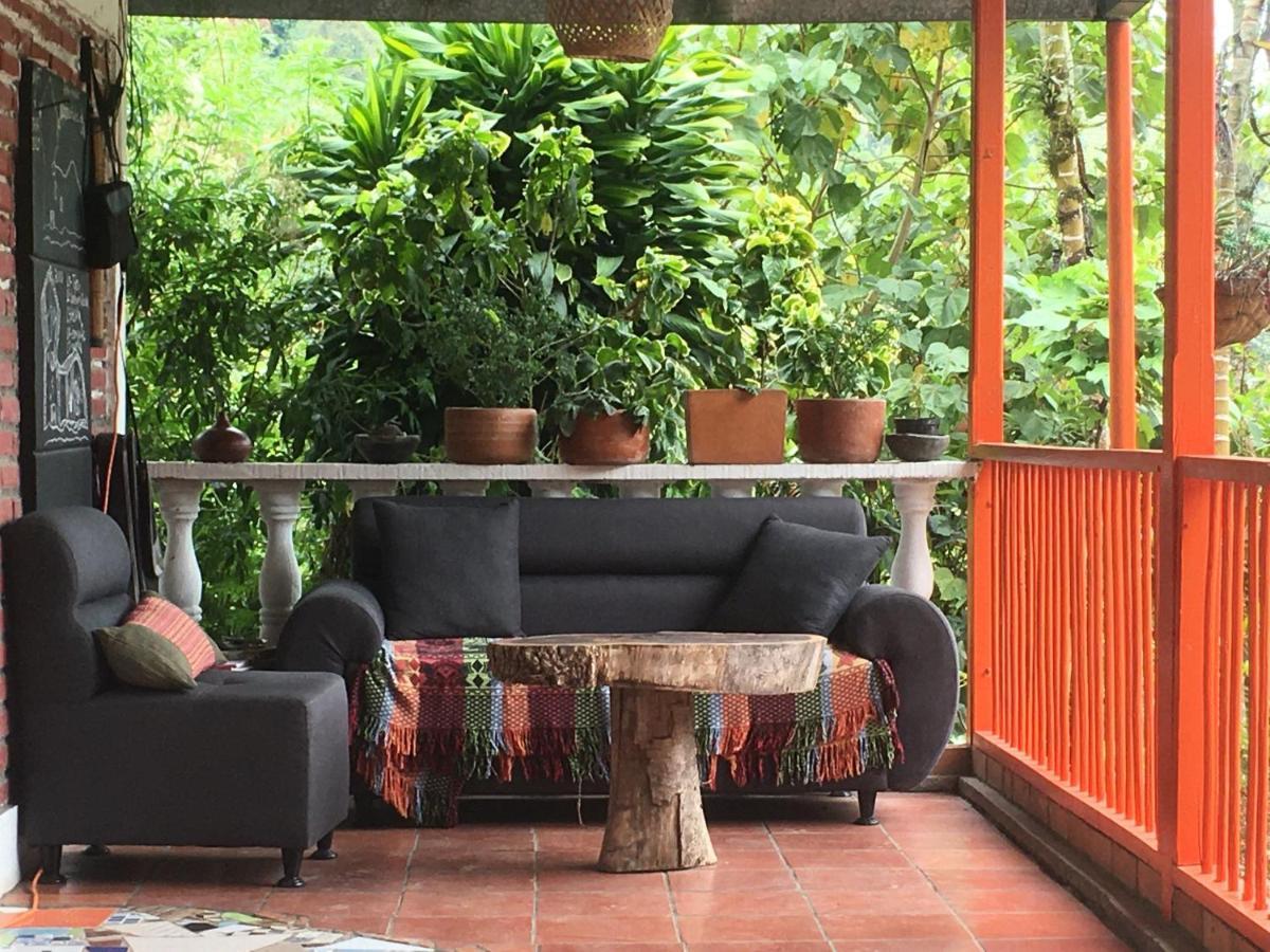 Habitacion Las Bromelias, Pijao, Finca Flora Del Rio Extérieur photo
